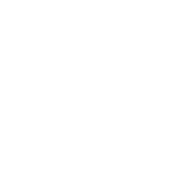 Dos Santos Craft Beer